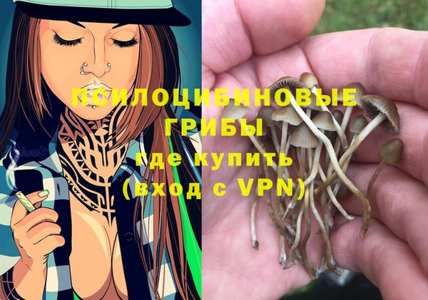apvp Покачи
