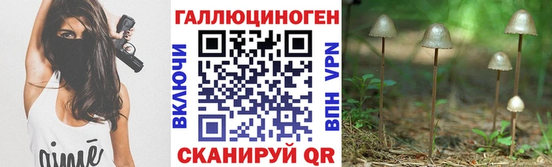 как найти закладки  Ардон  KRAKEN вход  Псилоцибиновые грибы Magic Shrooms 